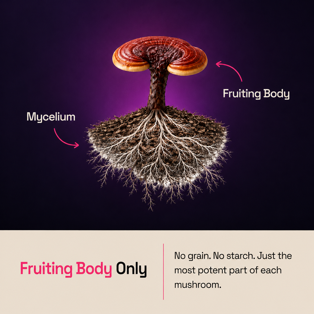 No subscription trap