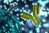 Immune Modulation